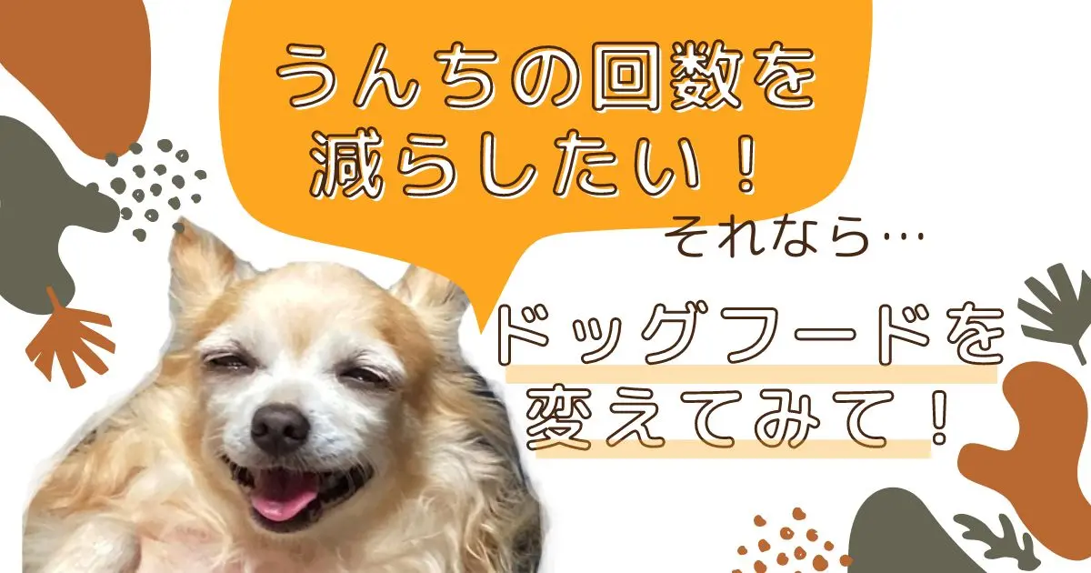 犬のうんちの回数を減らしたいならフードを変えてみるのがおすすめ！