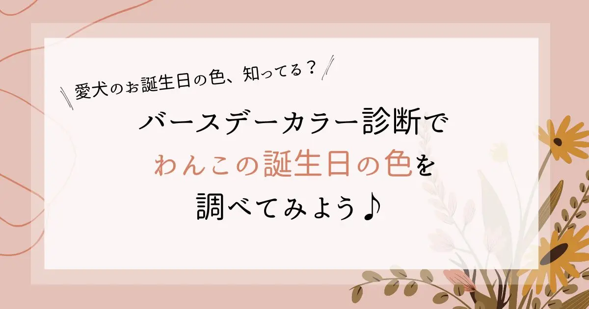 バースデーカラー診断のサイトまとめ！愛犬の誕生日の色を調べてみよう♪