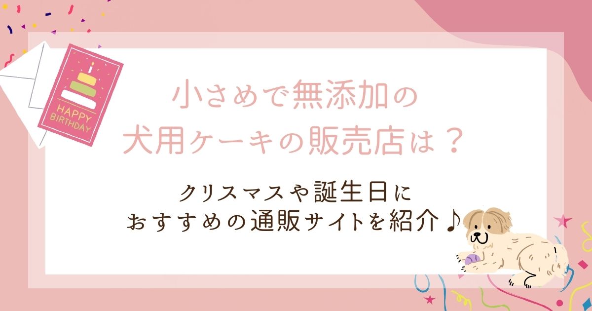 小さめで無添加の犬用ケーキの販売店は？クリスマスや誕生日におすすめの通販はここ！